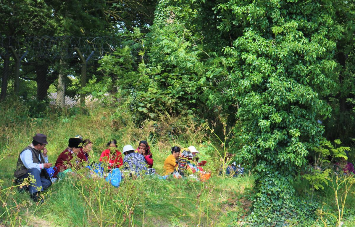 Alepariewar-59 (1)